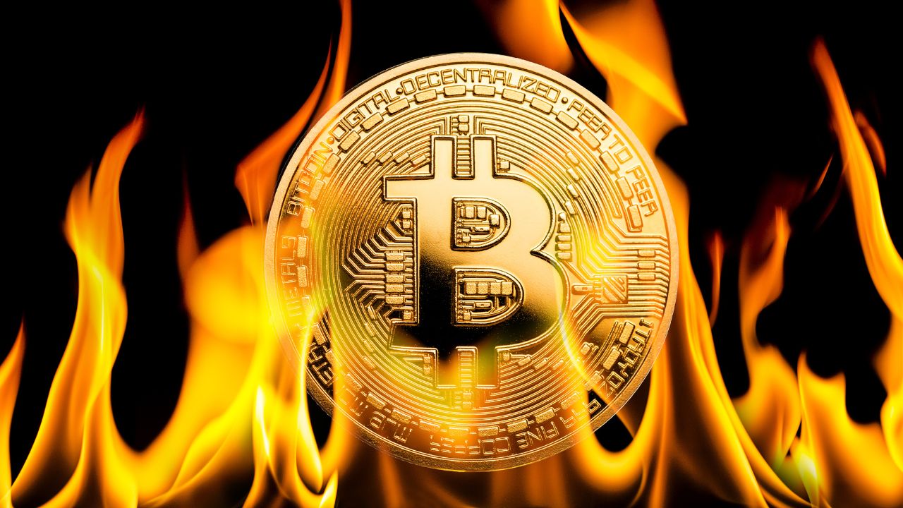 Shiba Inu coins burned